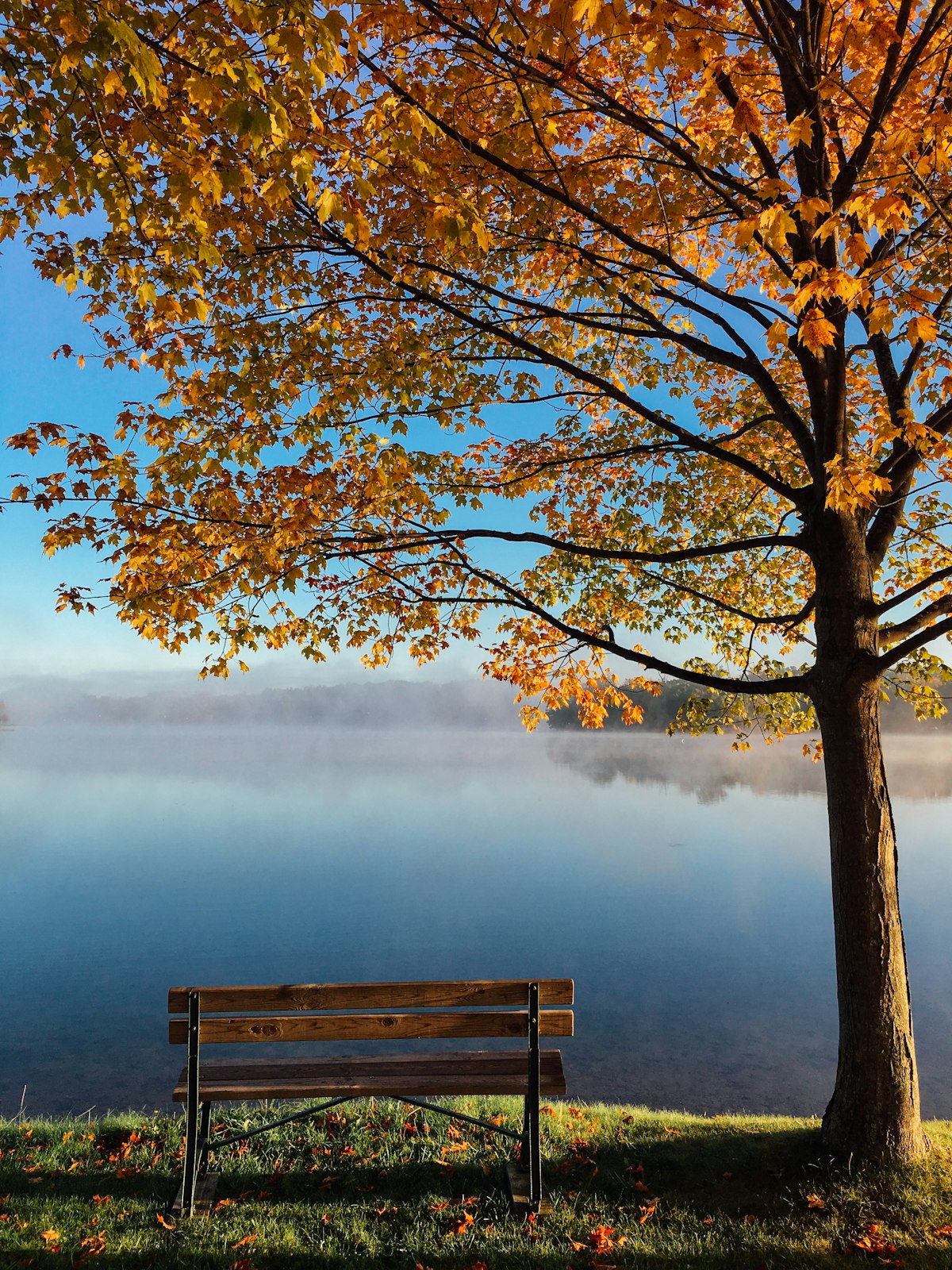 Tree Service & Arborist Insurance Monmouth County New Jersey — Kevin Brown Insurance Agency serving Monmouth County